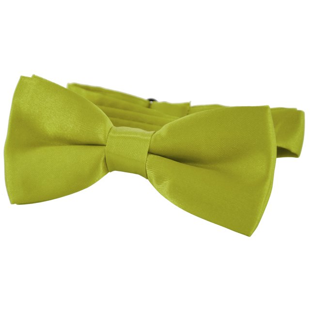DonDon® Edle Kinder Fliege gebunden und längenverstellbar 9 x 4,5 cm grün glänzend in Seidenlook
